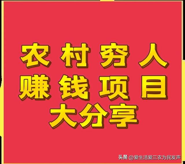 穷人怎么赚钱最快（适合农村穷人创业的项目）-元满创业网
