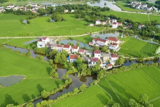 这6类项目在农村正成香馍馍？返乡创业摸准门路，年入百万不是梦农村商机好项目有哪些-元满创业网