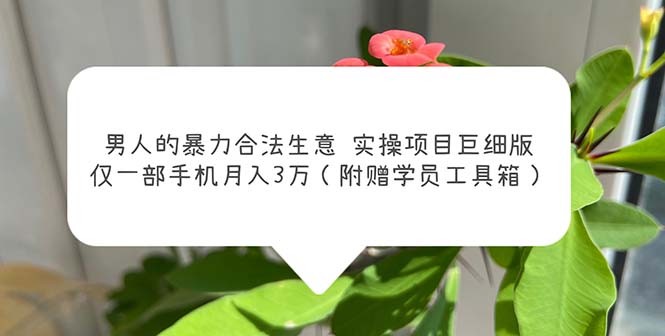 【副业项目5982期】男人的暴力合法生意实操项目巨细版：仅一部手机月入3w（附赠学员工具箱）-元满创业网