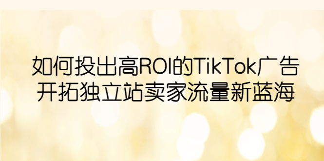 【副业项目6124期】如何投出高ROI·TikTok广告，开拓独立站卖家流量新蓝海-元满创业网