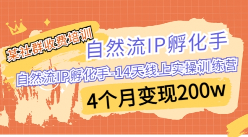 【副业项目7109期】自然流IP孵化手-14天线上实操训练营 4个月变现200w-元满创业网