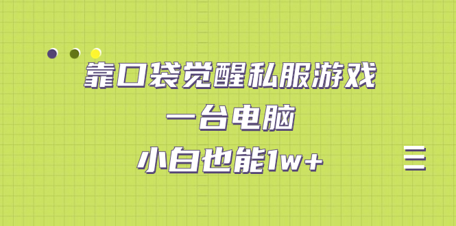 【副业项目7248期】靠口袋觉醒私服游戏，一台电脑，小白也能1w+（教程+工具+资料）-元满创业网
