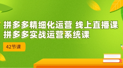 【副业项目7292期】2023年新课-拼多多精细化运营-元满创业网