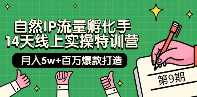 自然IP流量孵化手 14天线上实操特训营【第9期】月入5w+百万爆款打造 (74节)-元满创业网